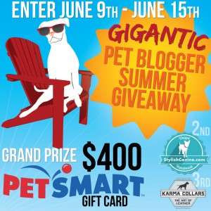 dogs, gift cards, contest, giveaway