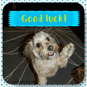 dogs, designer dogs, yorkipoo, yorkie poo, contest, giveaway, good luck