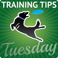 training-tips-tuesday-200