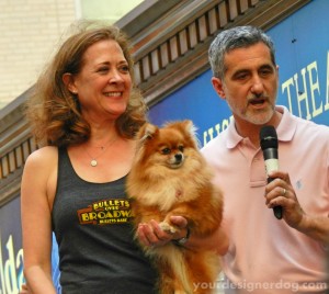 Broadway Barks, charity, animal adoption
