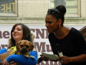 Broadway Barks, charity, animal adoption