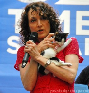 Broadway Barks, charity, animal adoption