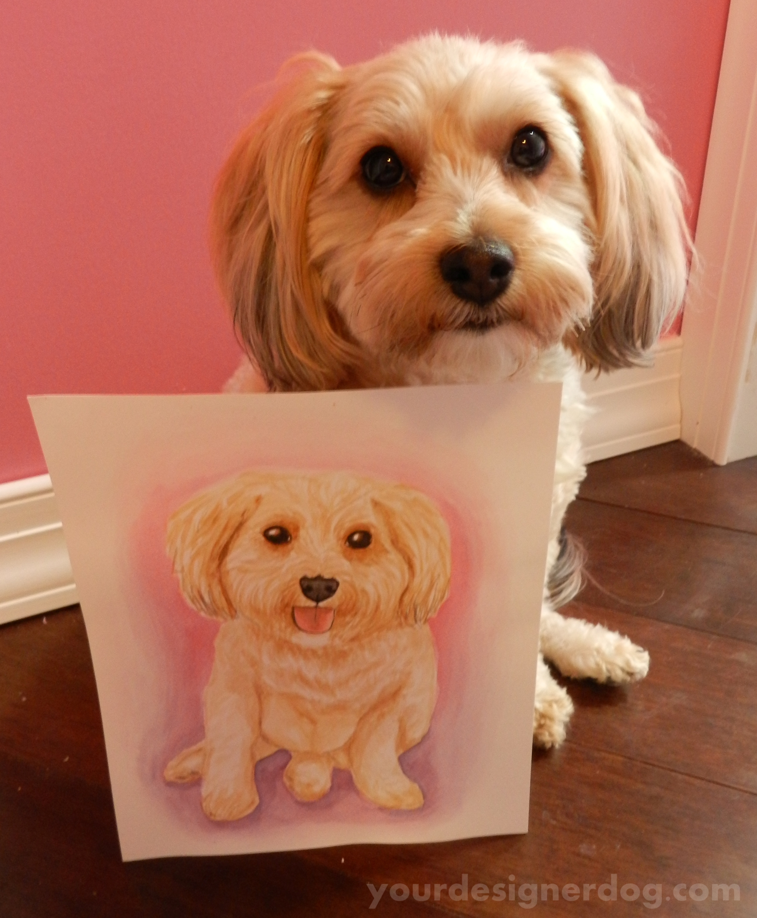 dogs, designer dogs, yorkipoo, yorkie poo, portrait, watercolor