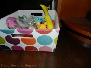 dog toys, toy box