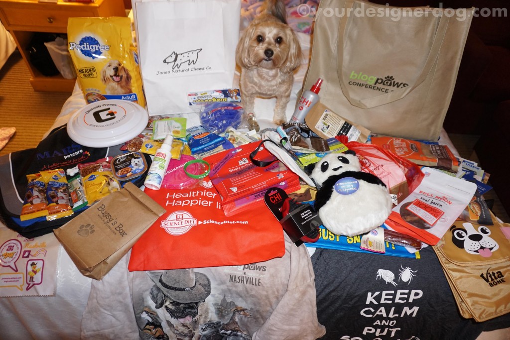 dogs, designer dogs, yorkipoo, yorkie poo, blogpaws, blogging conference, swag