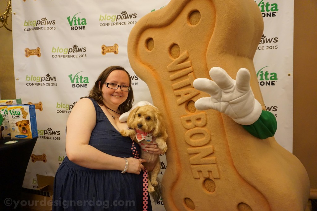 dogs, designer dogs, yorkipoo, yorkie poo, blogpaws, blogging conference