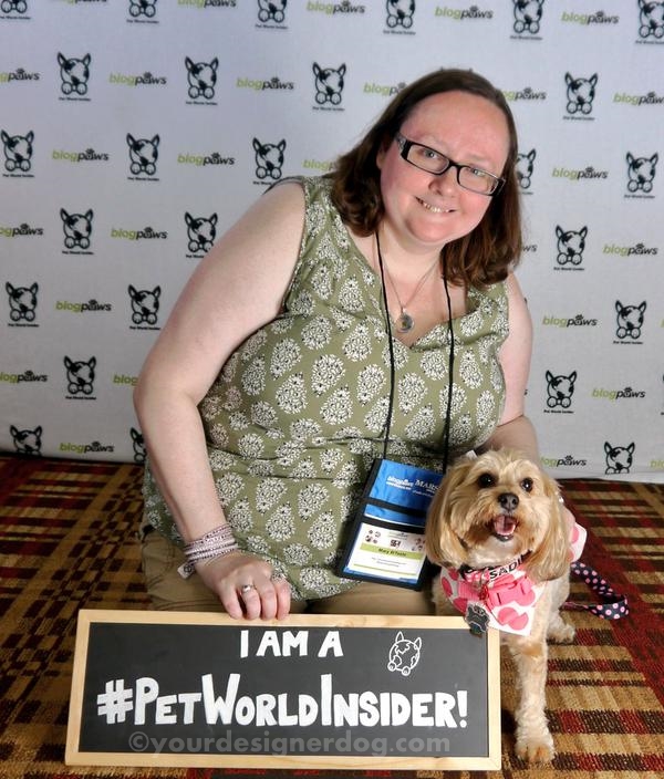 dogs, designer dogs, yorkipoo, yorkie poo, blogpaws, blogging conference