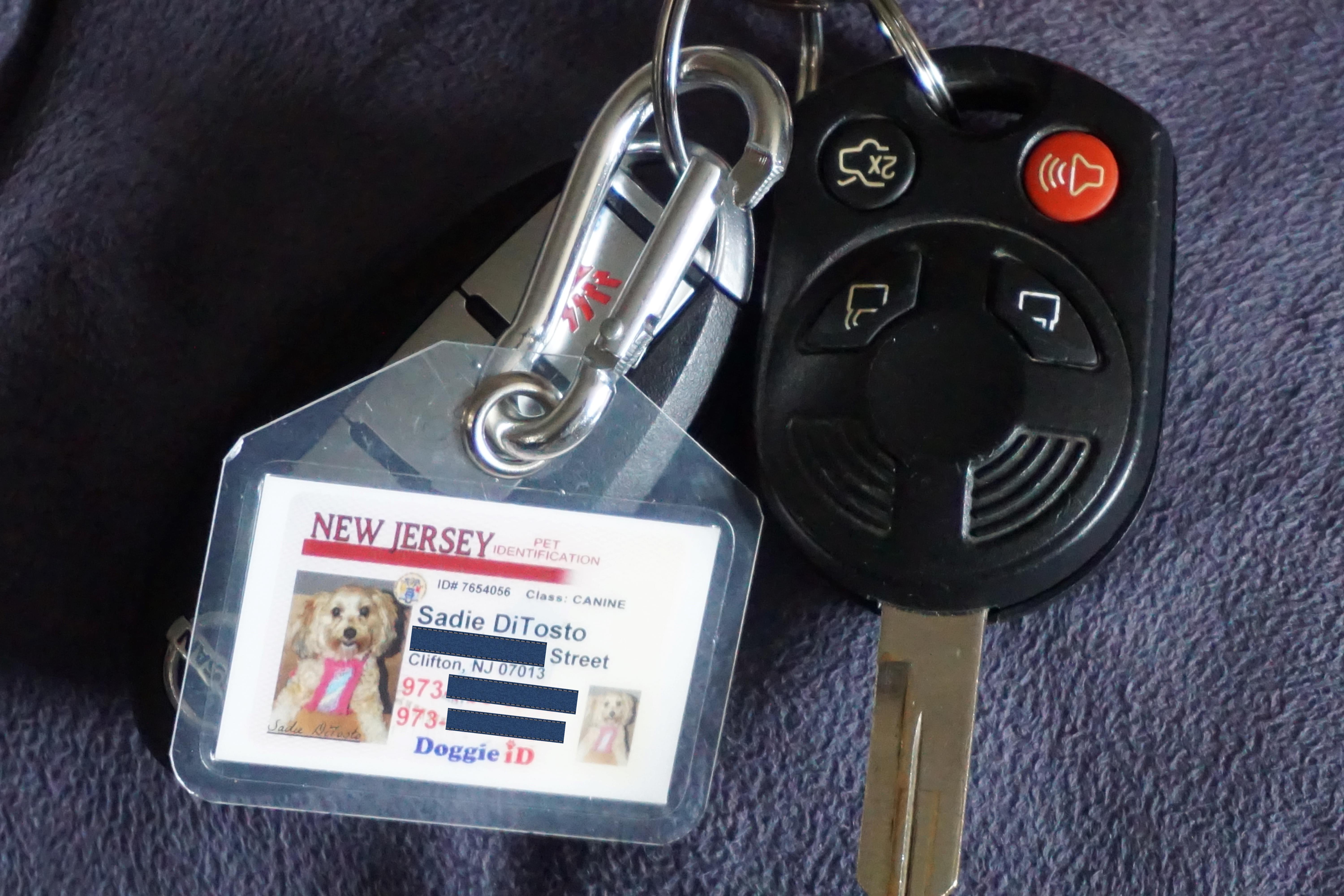 car keys, id tag, dog tag, driver's license
