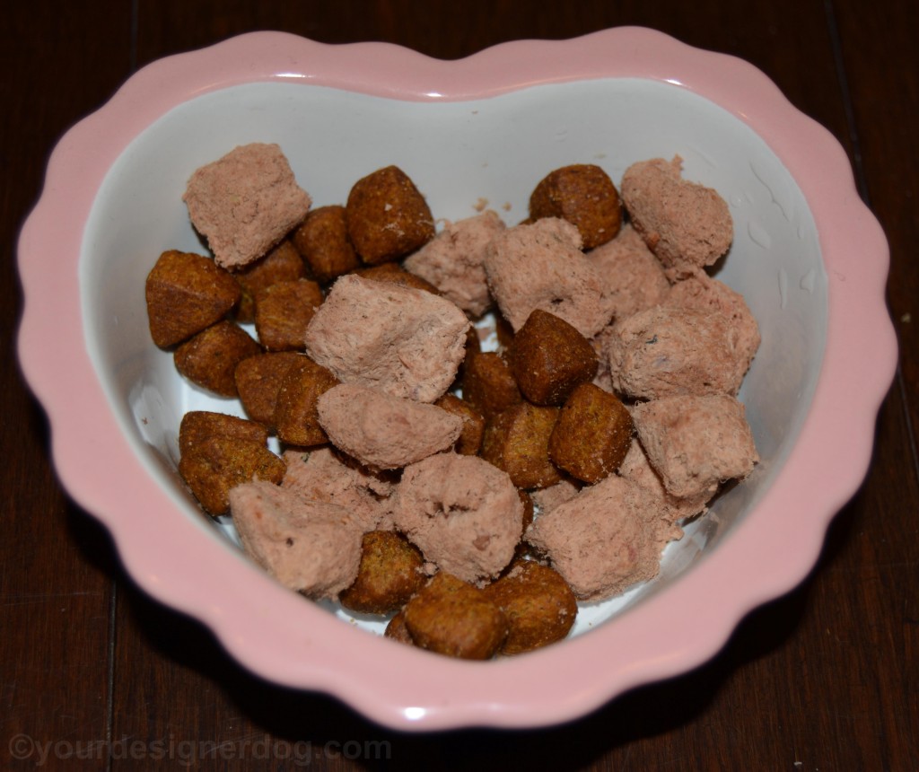 dogs, designer dogs, yorkipoo, yorkie poo, stella & chewy's, meal mixers, raw food, kibble