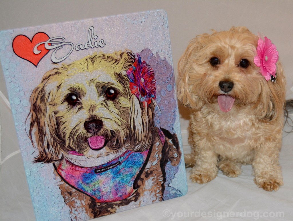 dogs, designer dogs, yorkipoo, yorkie poo, portrait, andys paw prints, tongue out, art, review