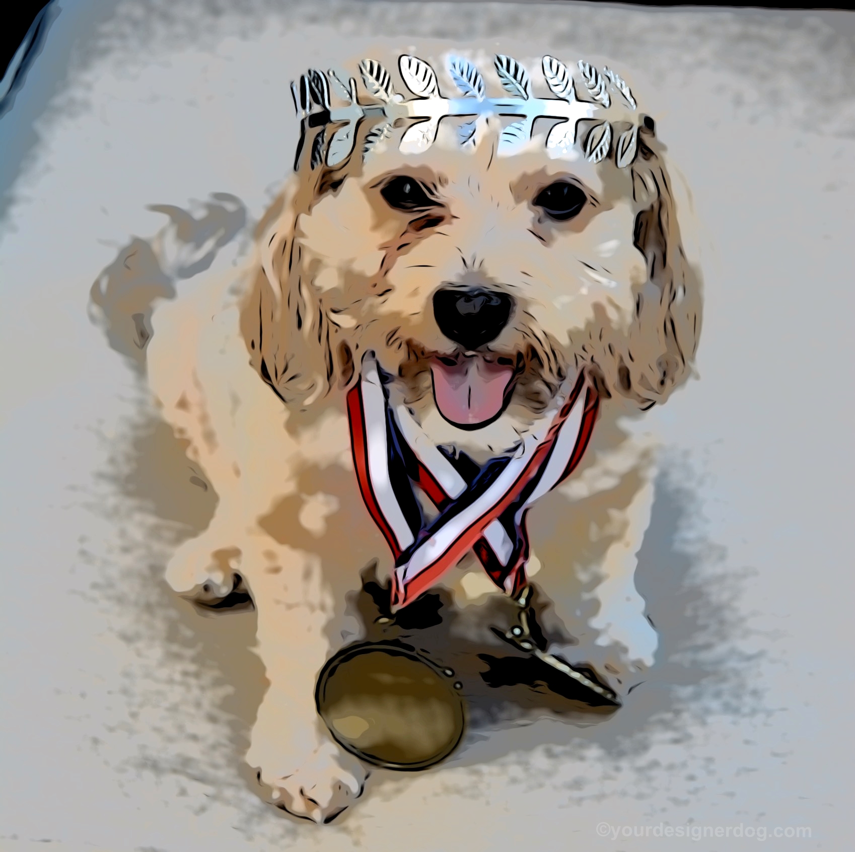 dogs, designer dogs, Yorkipoo, yorkie poo, digital art, gold medal, crown, victory