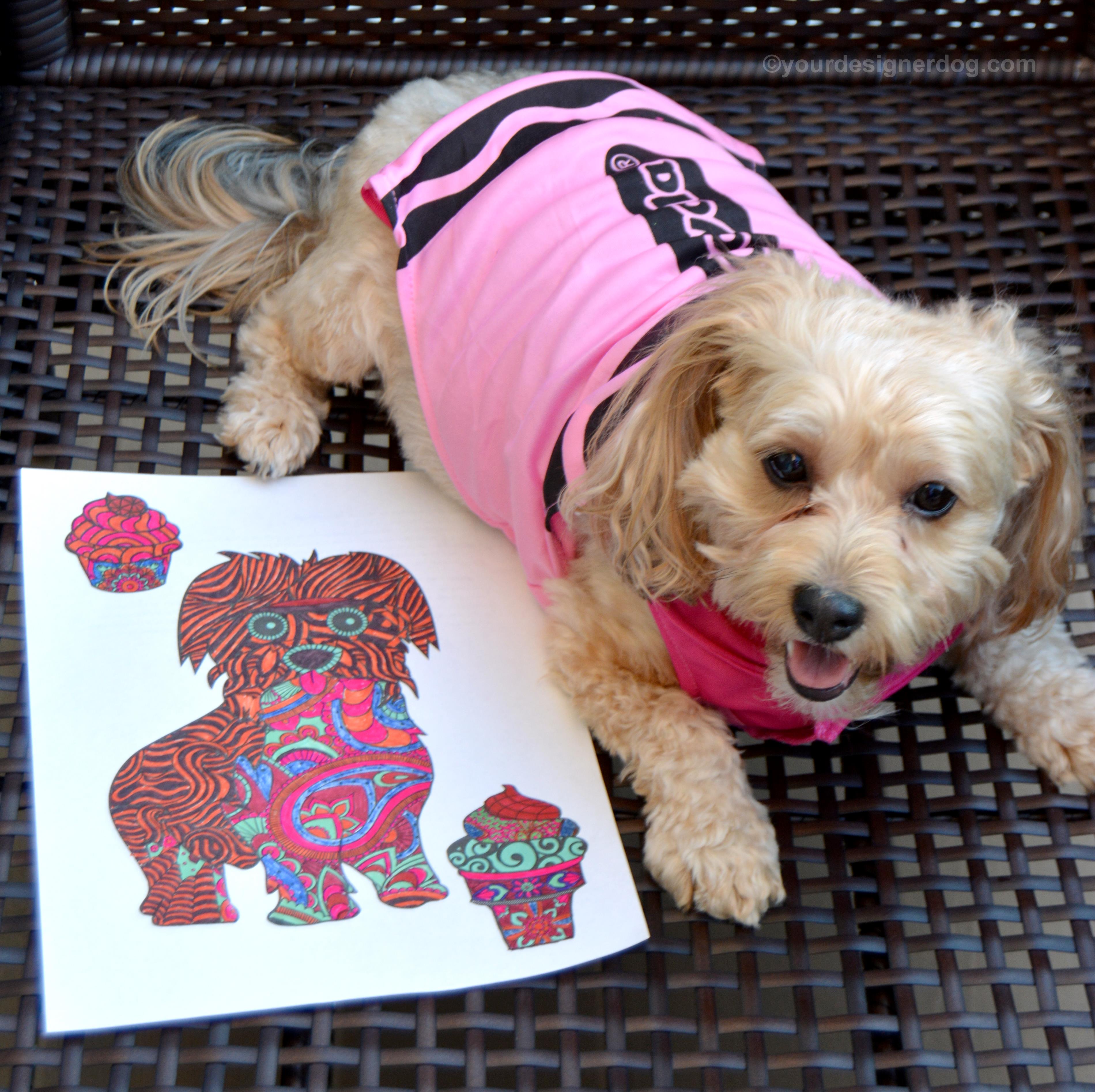 dogs, designer dogs, Yorkipoo, yorkie poo, crayon costume, coloring, national coloring book day