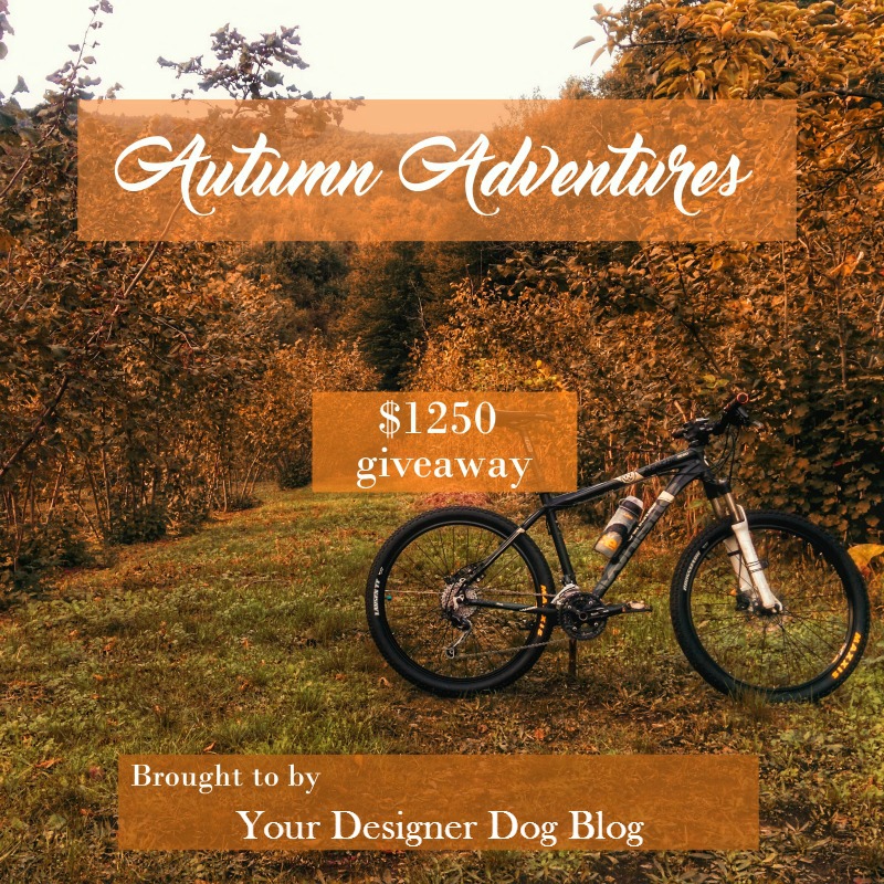 giveaway, contest, autumn, adventure, fall