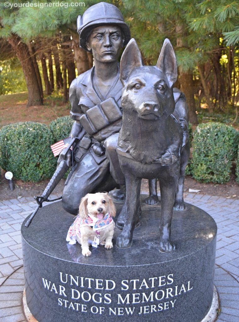 dogs, designer dogs, Yorkipoo, yorkie poo, memorial, statue, war dogs