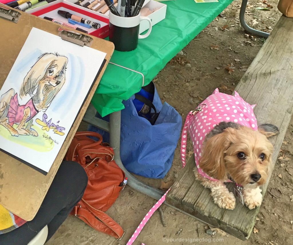 dogs, designer dogs, Yorkipoo, yorkie poo, pet portrait, caricature, cartoon, caturday art