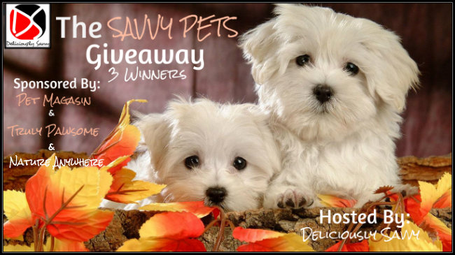 The Savvy Pets Giveaway – Ends 11/22