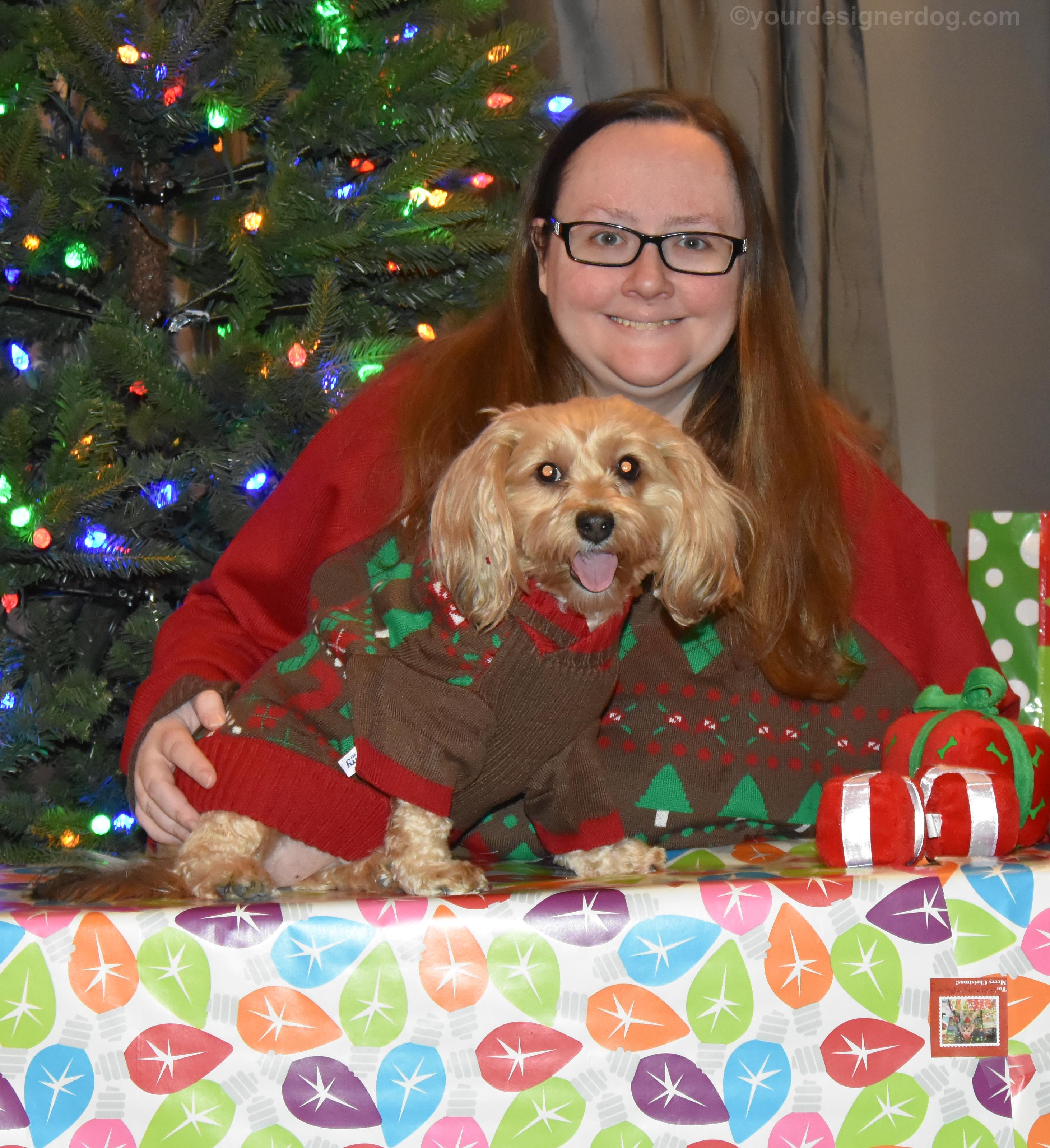 dogs, designer dogs, Yorkipoo, yorkie poo, christmas, presents, twins, ugly Christmas sweater, Christmas Tree
