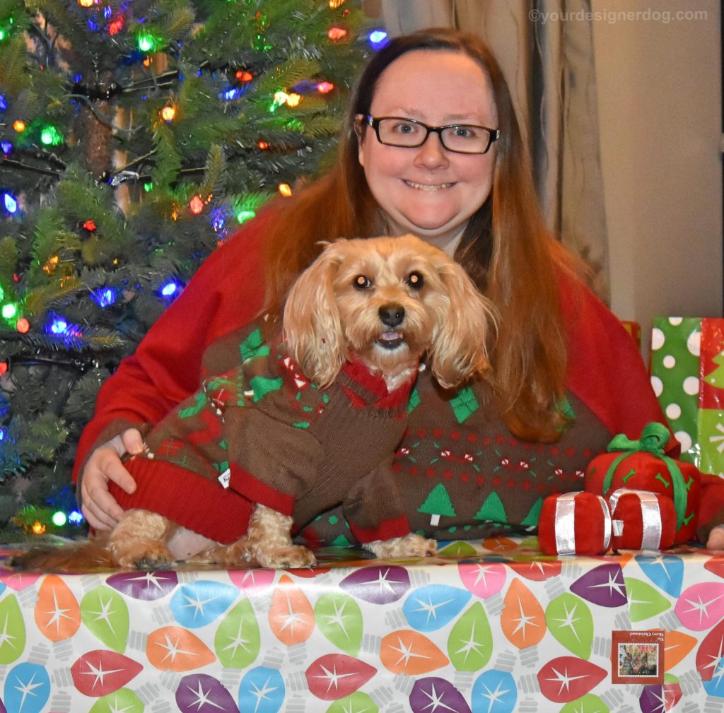 dogs, designer dogs, Yorkipoo, yorkie poo, christmas, presents, twins, ugly Christmas sweater, Christmas Tree 