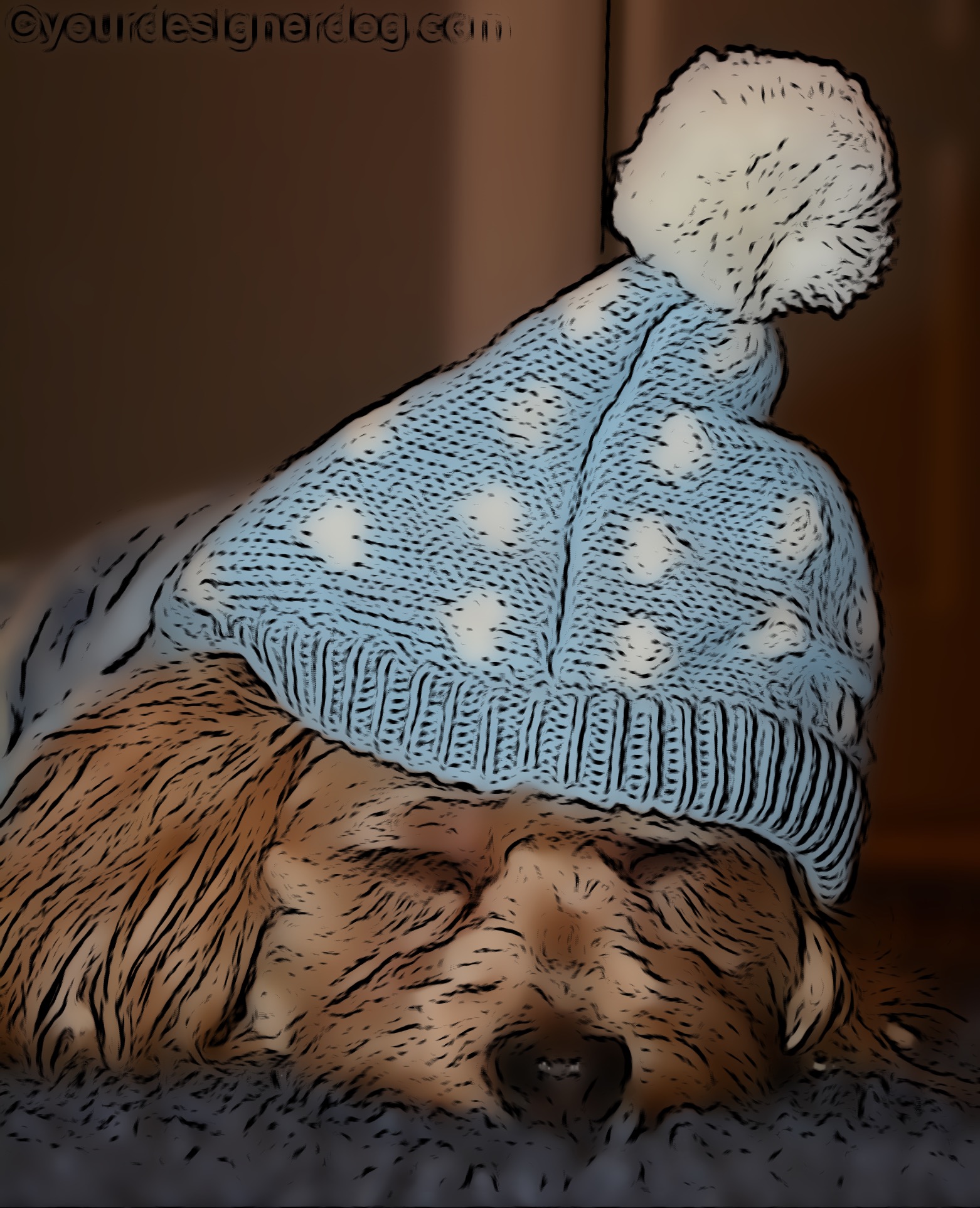 dogs, designer dogs, Yorkipoo, yorkie poo, sleepy puppy, digital art, pet portrait, winter hat