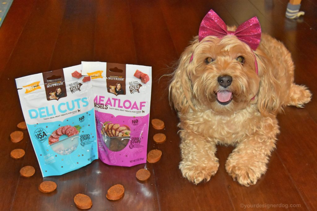 dogs, designer dogs, Yorkipoo, yorkie poo, dog treats, Chewy.com, Rachael Ray