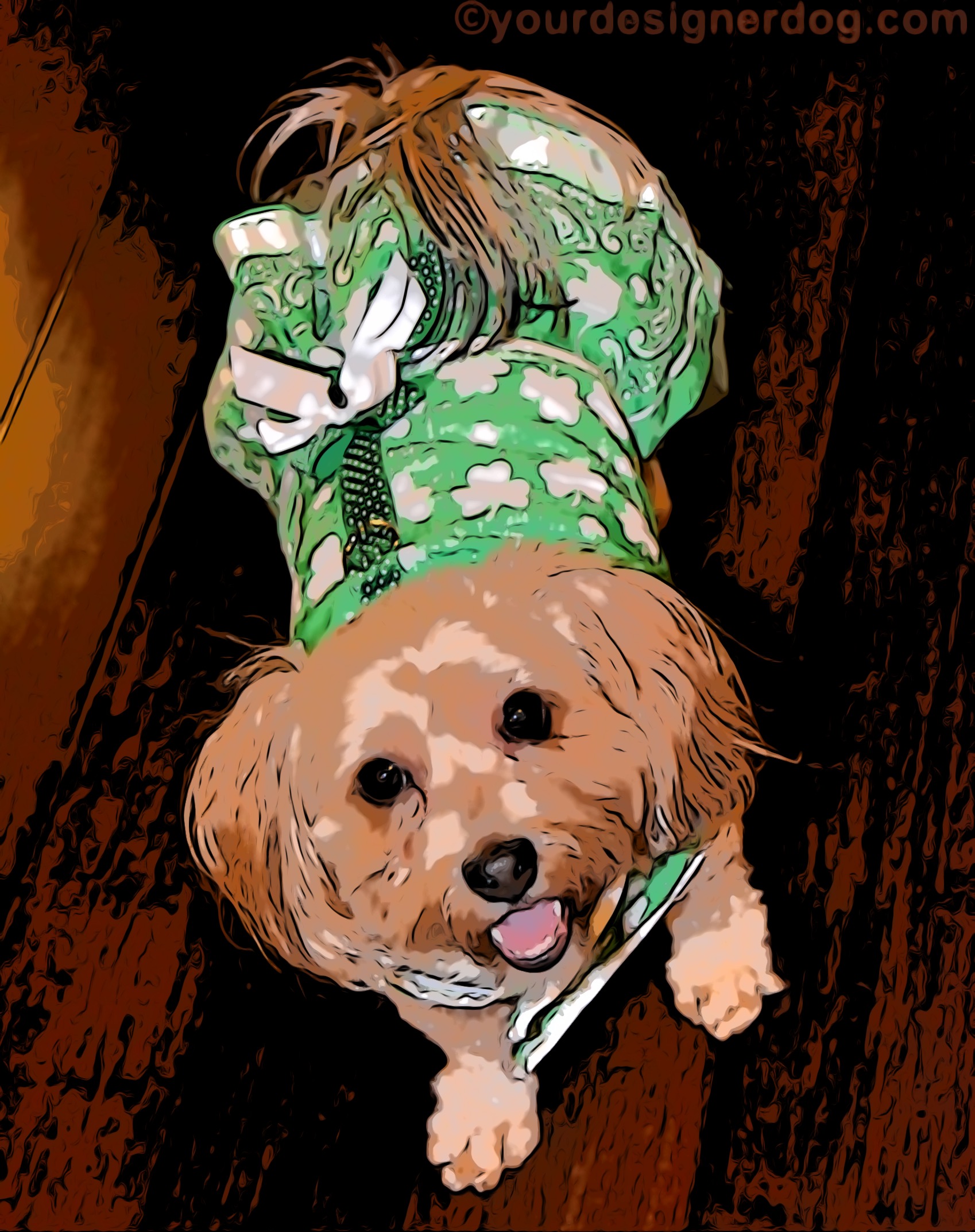 dogs, designer dogs, Yorkipoo, yorkie poo, digital art, pet portrait, St. Patrick's Day, dog dress, harness dress