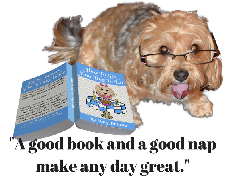 dogs, designer dogs, yorkipoo, yorkie poo, how to get your dog to eat, dogs with glasses, book