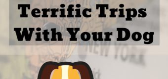 101 Tips For Terrific Trips with Your Dog