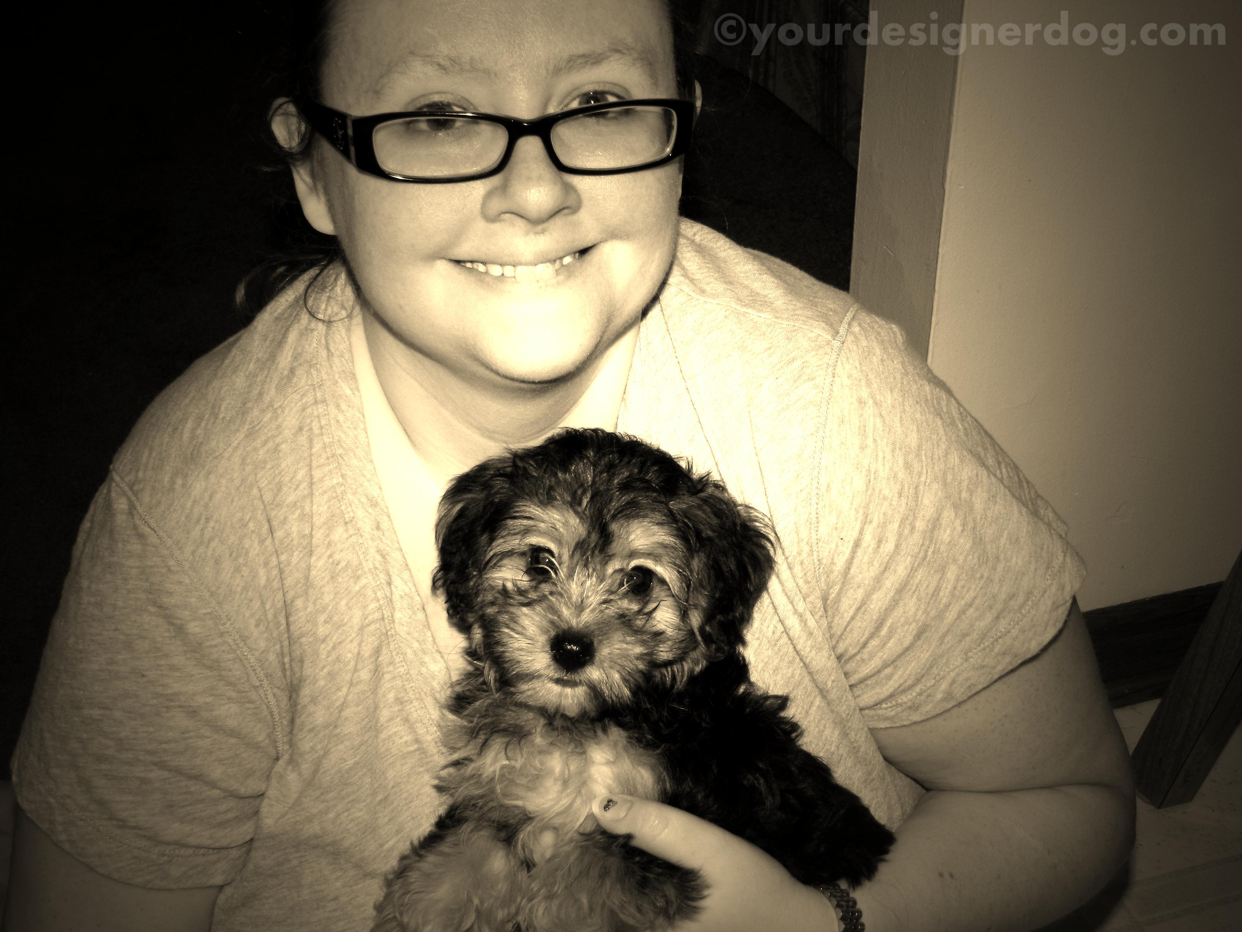 dogs, designer dogs, yorkipoo, yorkie poo, blogiversary, sepia photography, puppy