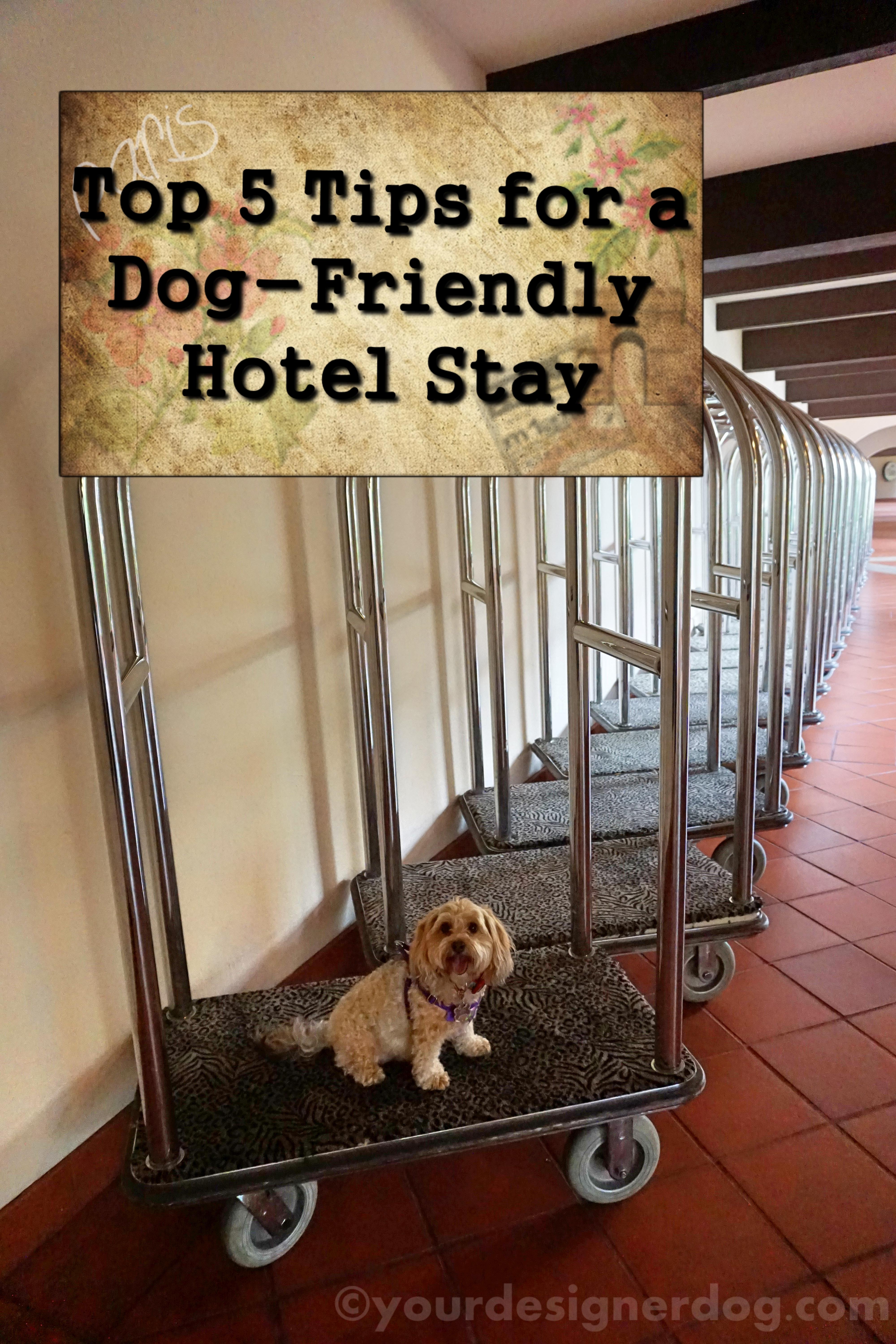dogs, designer dogs, yorkipoo, yorkie poo, hotel, dog-friendly, luggage cart