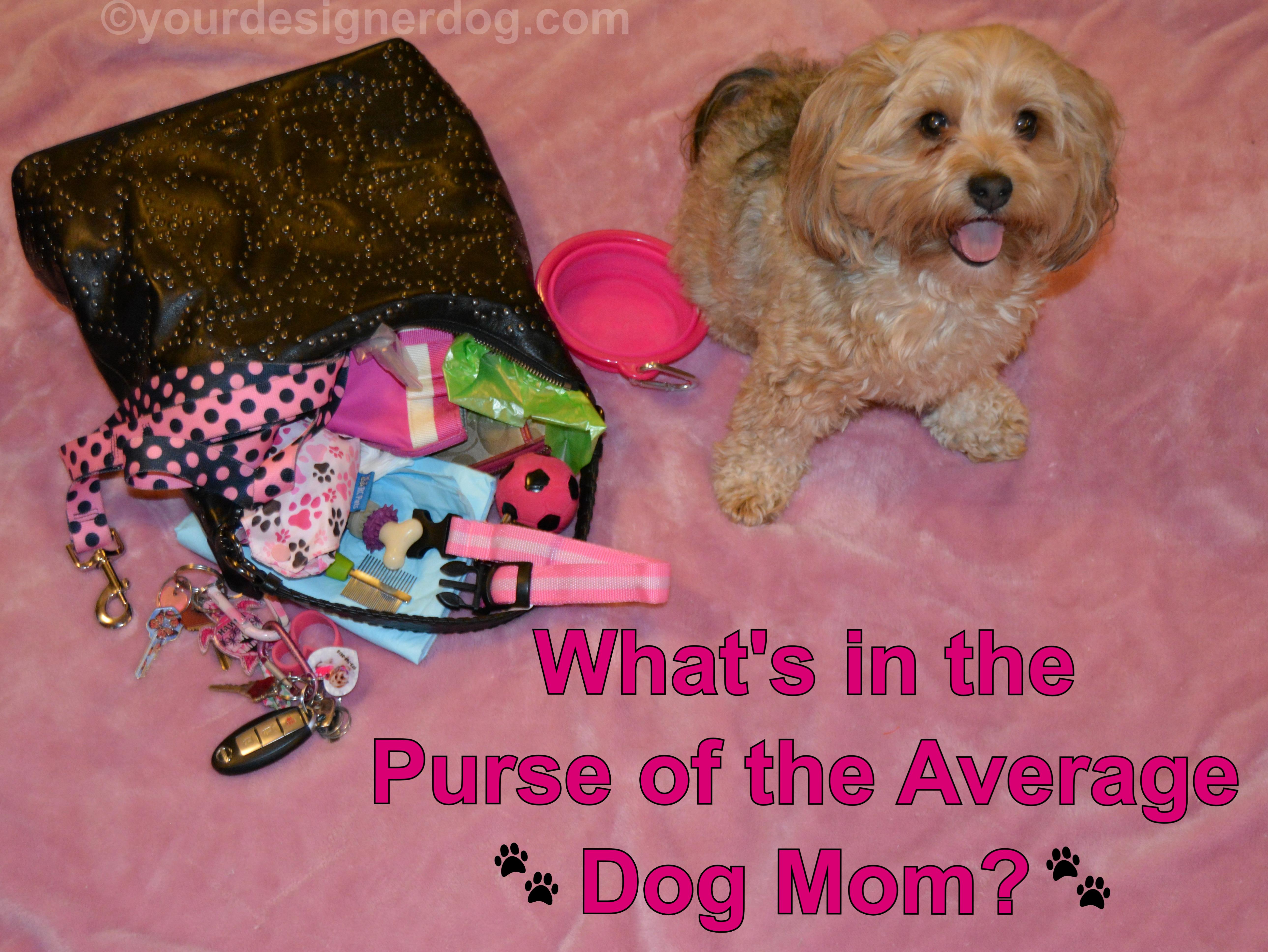 Inside the Purse of a Dog Mom