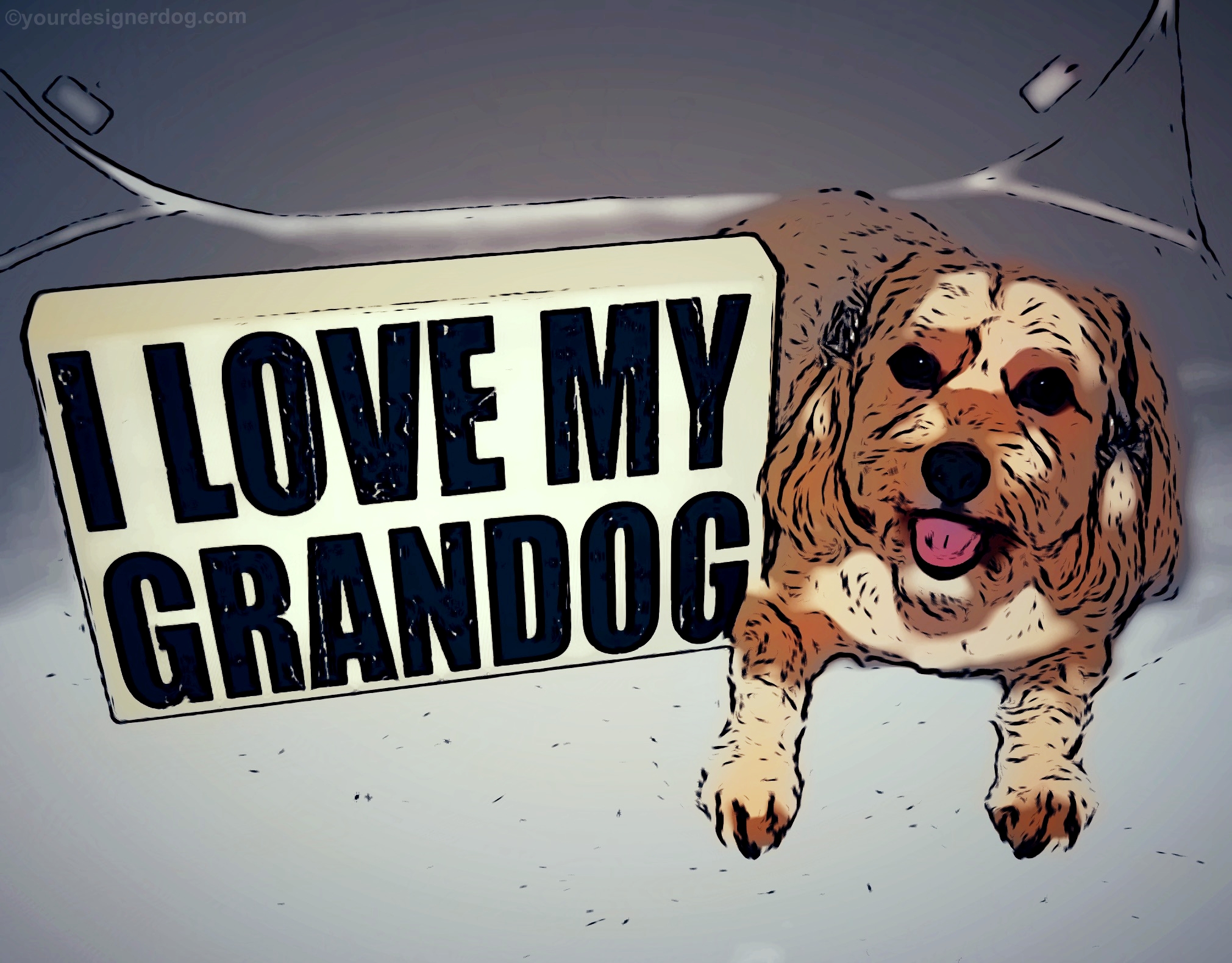 dogs, designer dogs, yorkipoo, yorkie poo, grandog, grandparent's day, pet portrait, digital art, cartoon