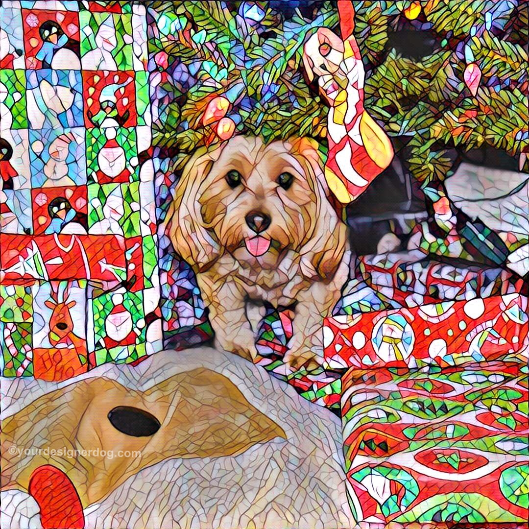 dogs, designer dogs, Yorkipoo, yorkie poo, digital art, pet portrait, Christmas, Christmas Tree